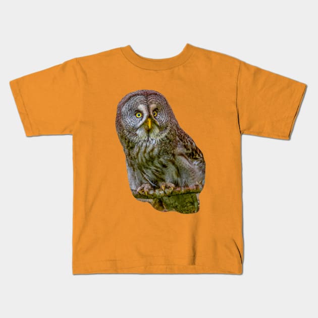 The Phantom of the North - The Great Grey Owl Kids T-Shirt by dalyndigaital2@gmail.com